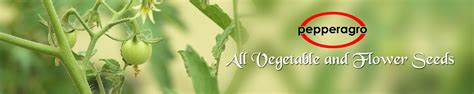 Amazon.in: Pepper Agro: Seeds