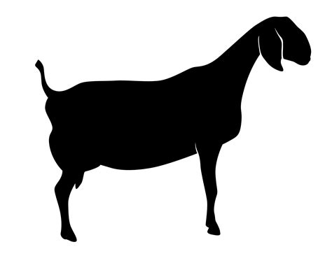 Image result for Best WA. Some Python Projects