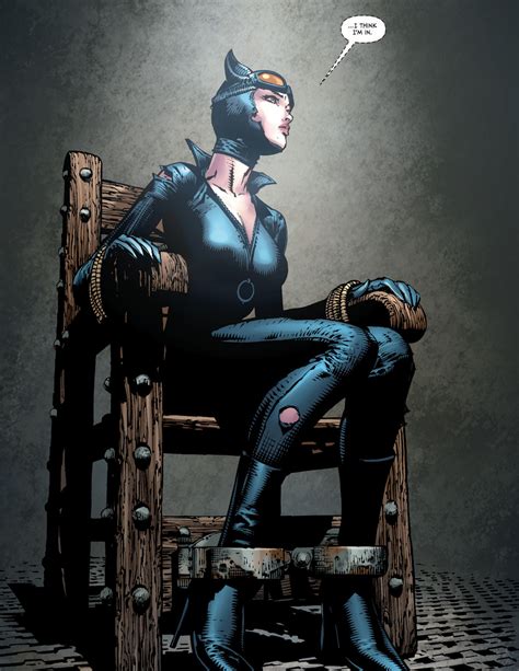 Catwoman Costume Dc Comics at Mariam Oberg blog