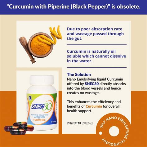 Buy SNEC 30 - NANO CURCUMIN TURMERIC CAPSULES PACK OF 120 CAPSULES ...