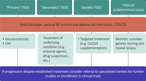 Novel Treatment Paradigms: Focal Segmental Glomerulosclerosis - Kidney ...