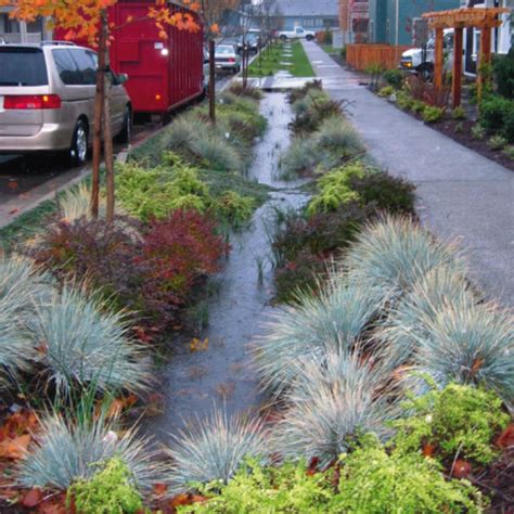 Gardening For Rainwater: Creating a Rain Garden – Save Tarrant Water