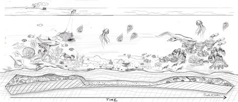Ecosystem Drawing 的图像结果
