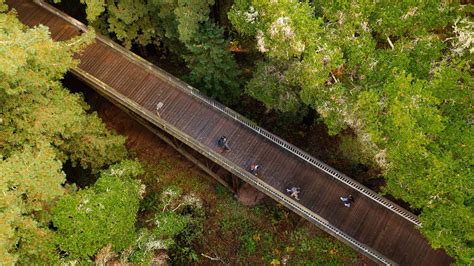 Summer Housing – Summer Session