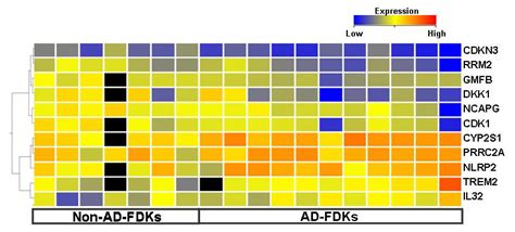 Transcriptional Analysis of Hair Follicle-Derived Keratinocytes from ...