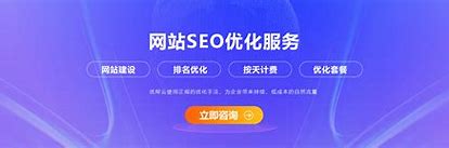 seo推广软件下载 的图像结果