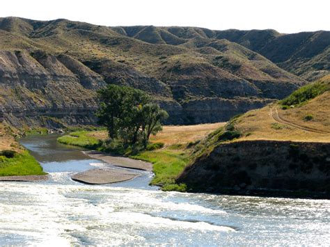 Elevation of Floweree, MT, USA - Topographic Map - Altitude Map