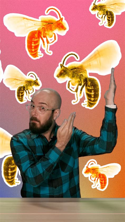 Why do we have more bees than ever before?