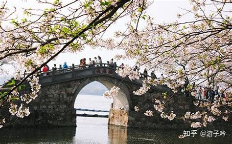 无锡两日游最佳攻略（春节免费游之江苏无锡篇——10个景区景点你去过了吗） | 说明书网