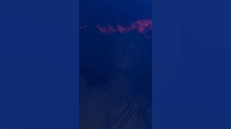 Full Bloop View Pov Porn Videos