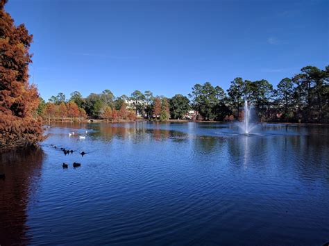 Georgia Southern Acceptance Rate