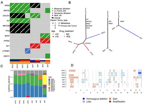 Tracking the Evolution of Cutaneous Melanoma by Multiparameter Flow ...