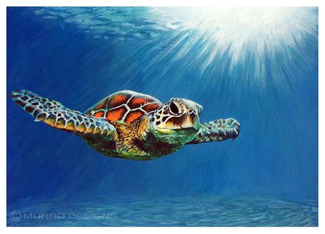 Sea Turtle Painting Canvas at PaintingValley.com | Explore collection ...