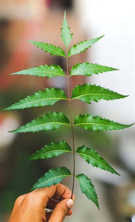 Vaginal Boils: 7 Effective Home Remedies For Fast Relief | Femina.in
