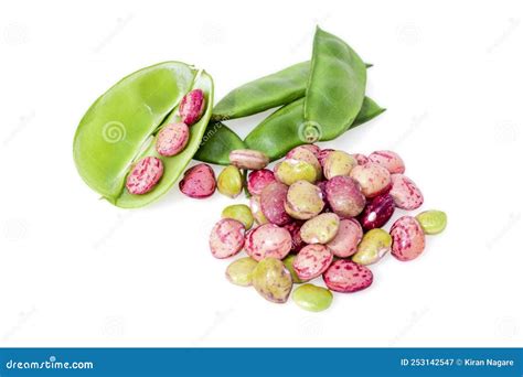 Fresh lima beans stock image. Image of open, healthy - 253142547