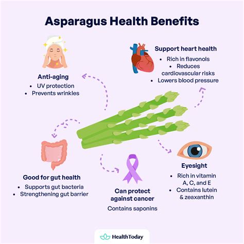 Asparagus Benefits for Skin and 4 Potential Health Benefits - HealthToday