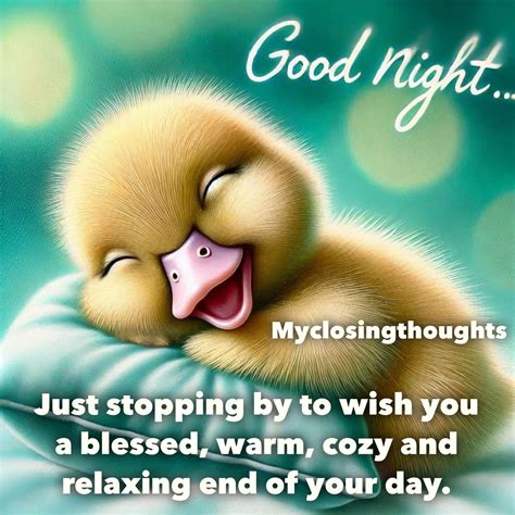 Pin by Katie Reneker on Good Night Quotes | Good night funny, Good ...