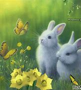 Image result for Spring+Baby+Bunnies