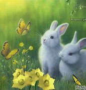 Image result for Spring+Baby+Bunnies