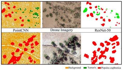 Plant Population Classification Based on PointCNN in the Daliyabuyi ...