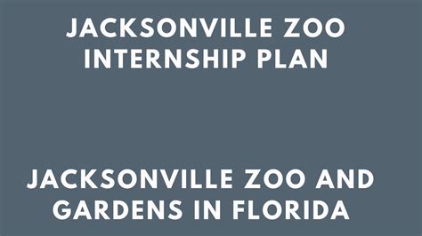 Jacksonville Zoo Internship 2026 Experience For Students - Internship ...