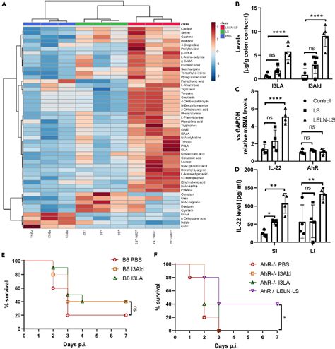 Figure 2 from Lemon Exosome-like Nanoparticles-Manipulated Probiotics Protect Mice from C. diff ...
