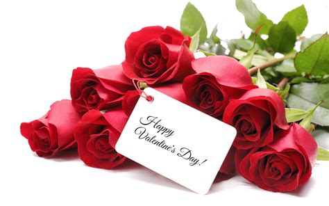 Valentines Day PNG Image