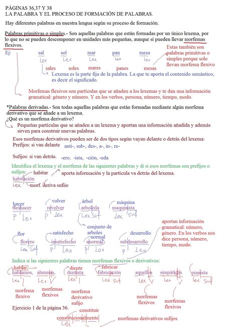 TRIVIUM 2º ESO: 2º CyD. Tipos de palabras según su proceso de formación.