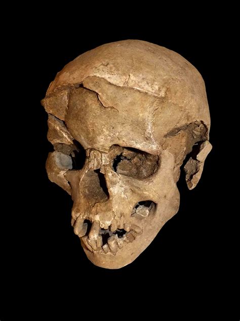 News - Human Ancestors Transported Large Stones for Miles to Make Proper Tools - Archaeology ...