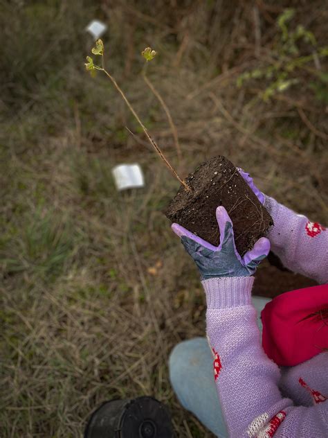 Local Conservation Organizations Have a Field Day with Dixie Elementary ...