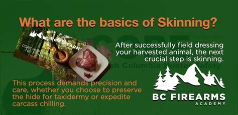 Image result for Skinning Python