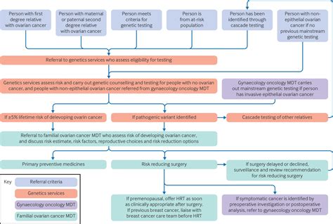 Genetic Screening For Ovarian Cancer