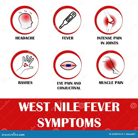 West Nile Fever, Pictograms with Names of Individual Symptoms Stock Vector - Illustration of ...