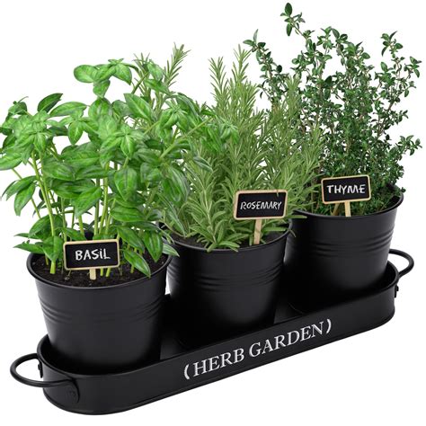 Amazon.com : PERFNIQUE Indoor Herb Garden, Herb Garden Planter for ...