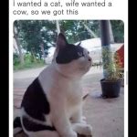 Image result for Fixed and Dynamic Array Example