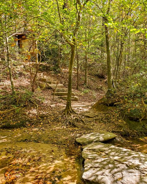 Wildcat Branch Falls (Wildcat Wayside Falls) - Steph Purk