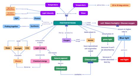 Cellular Respiration And Photosynthesis Concept Map