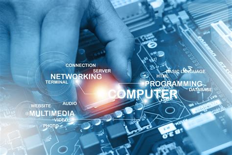 Top Career Paths After Diploma in Computer Science | LSBF MY