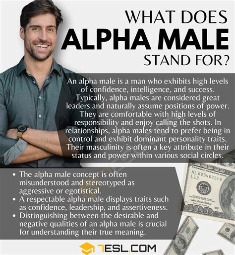 What Does "Alpha Male" Mean? • 7ESL
