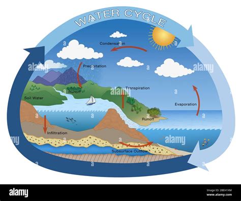 Water cycle hi-res stock photography and images - Alamy