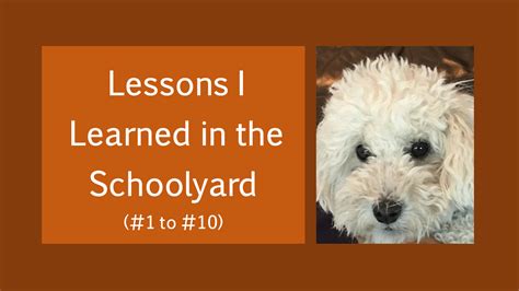 Image result for One Compilation