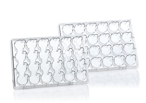 Culture inserts, BRAND Insert 2in1, For 24-well plates, BIO-CERT® CELL ...