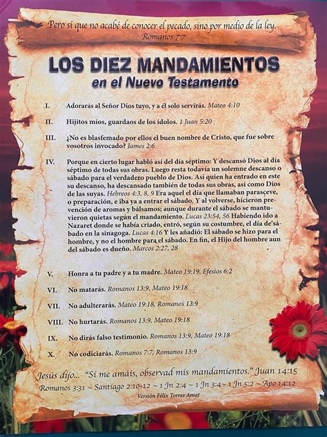 Ten Commandments Double-sided Poster, Spanish - Reformation Herald ...