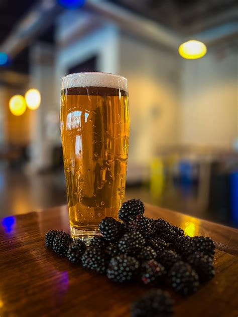 Bodacious Bevvy - Blackberry Blonde Ale - Nine Mile Brewing