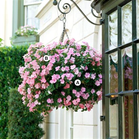 25 Gorgeous Hanging Basket Ideas to Dress Up Your Yard | Plants for ...