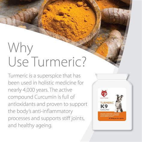 Can Dogs Eat Turmeric And Black Pepper