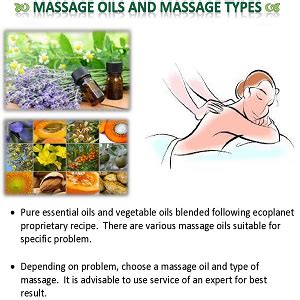 ecoplanet Aromatherapy Massage Oil, Combo Pack Containing Breathe Easy ...