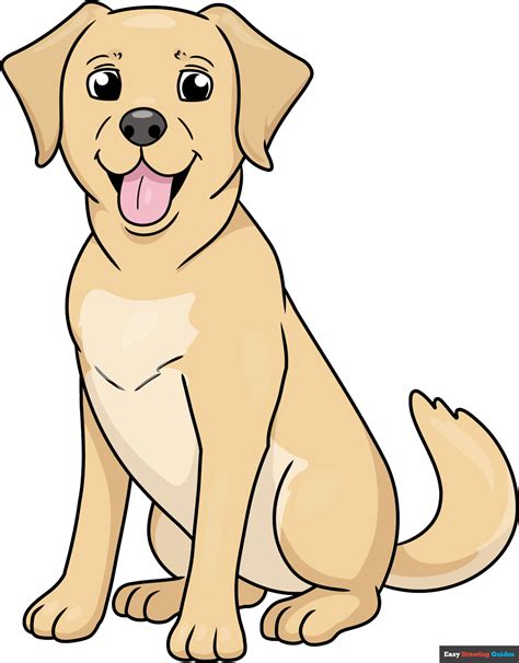 Image result for Labrador Drawing Tutorial