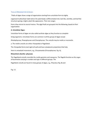 The life circle of algae - THE LIFE CYCLE OF ALGAE. The growth and ...