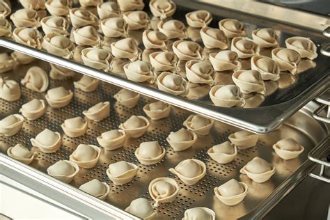 Food Business Consultant in India | Rakhumai Engineering